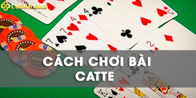 Cách chơi bài Catte Luck8 hay nhất