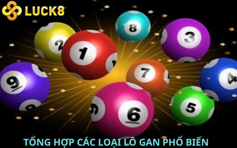 Tổng hợp các loại lô gan phổ biến